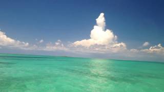 Andros Island, Bahamas - Scuba Diving Out of the Blue