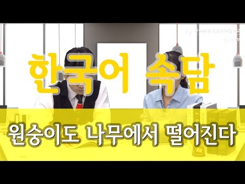 [사이버한국외국어대학교]_한국어 알고쓰기 "한국어 속담" [원숭이도 나무에서 떨어진다]