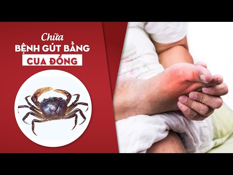 Video Điều trị bệnh gút bằng cua đồng có thật sự hiệu quả? - youtube
