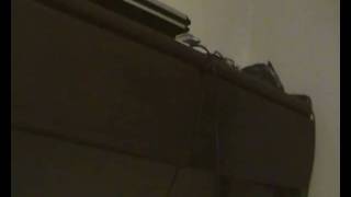 SDV_0548.MP4