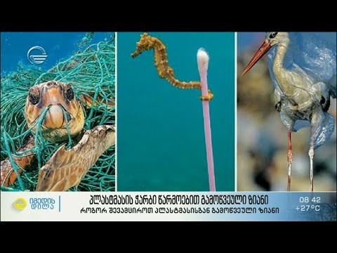 პლასტმასის ჭარბი წარმოებით გამოწვეული ზიანი