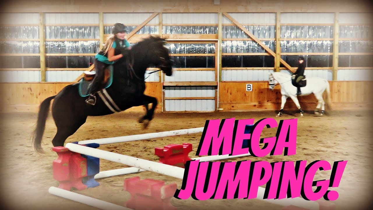 MEGA JUMPING WITH OUR NEW BARN FRIENDS! Day 305 (11/04/18)