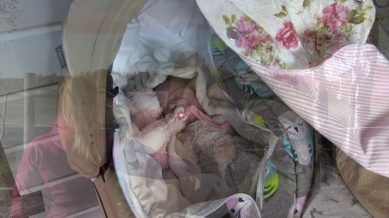 Onnistuneet elementit perhehoidossa - pitkäaikaisten sijaisvanhempien näkökulmasta