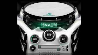Snaer: Transient Designer