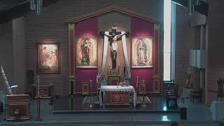 Misa Diaria - Miércoles de la VII semana de Pascua - 20 de mayo de 2026