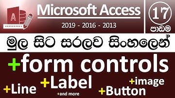 Microsoft Access for Beginners - Part 17 (Form Controls) - v2019/v2016/v2013 ( in Sinhala)