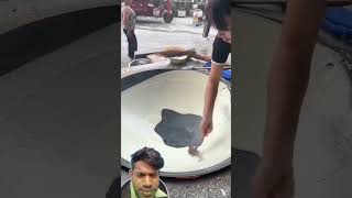 Youtubeitalia Egamer Outubelife