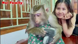 Nui Family | Nui drink milk and go to sleep