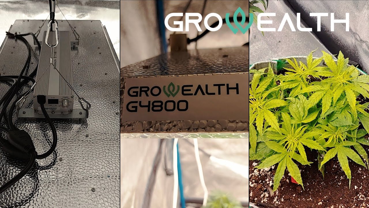 Unboxing Full Spectrum LED Grow Light G4800 (480 Watts)