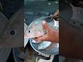 #fishfry #youtubeshorts #shorts #ytshorts #youtube