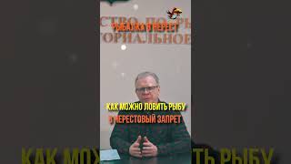 Как рыбачить в нерест чтобы не нарваться на неприятности Рыбалка Рыбоохрана и Нерест #shorts