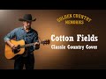 Cotton Fields Creedence Clearwater Revival Classic Country Cover mp3