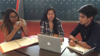 Logical Fallacies Video Project