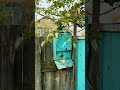 Наши старенькие улочки