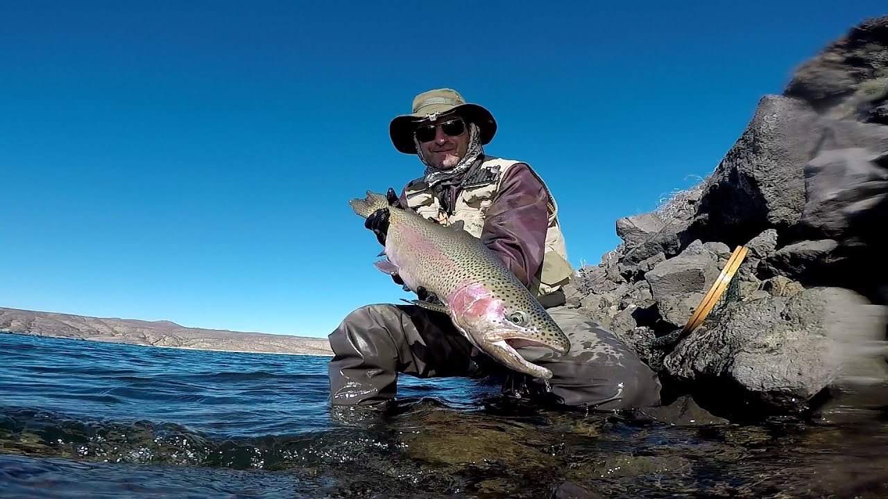 Pesca de truchas en Lago Piedra del Águila  - 