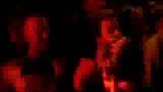sto zvirat -- domácí kino