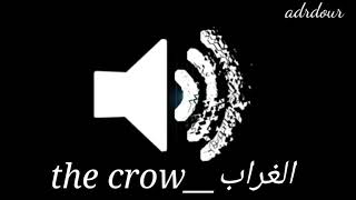 أحسن صوت غراب للمونتاج | the best crow sound for montage