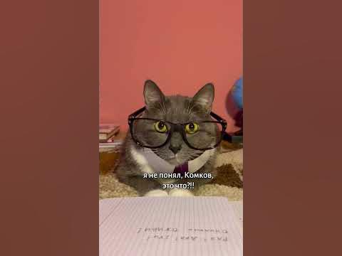 САМОСТОЯТЕЛЬНЫЕ - YouTube