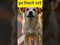 क्या जानवर हमें समझते हैं? 😨 | Unheard Truth | Adbhut Verse