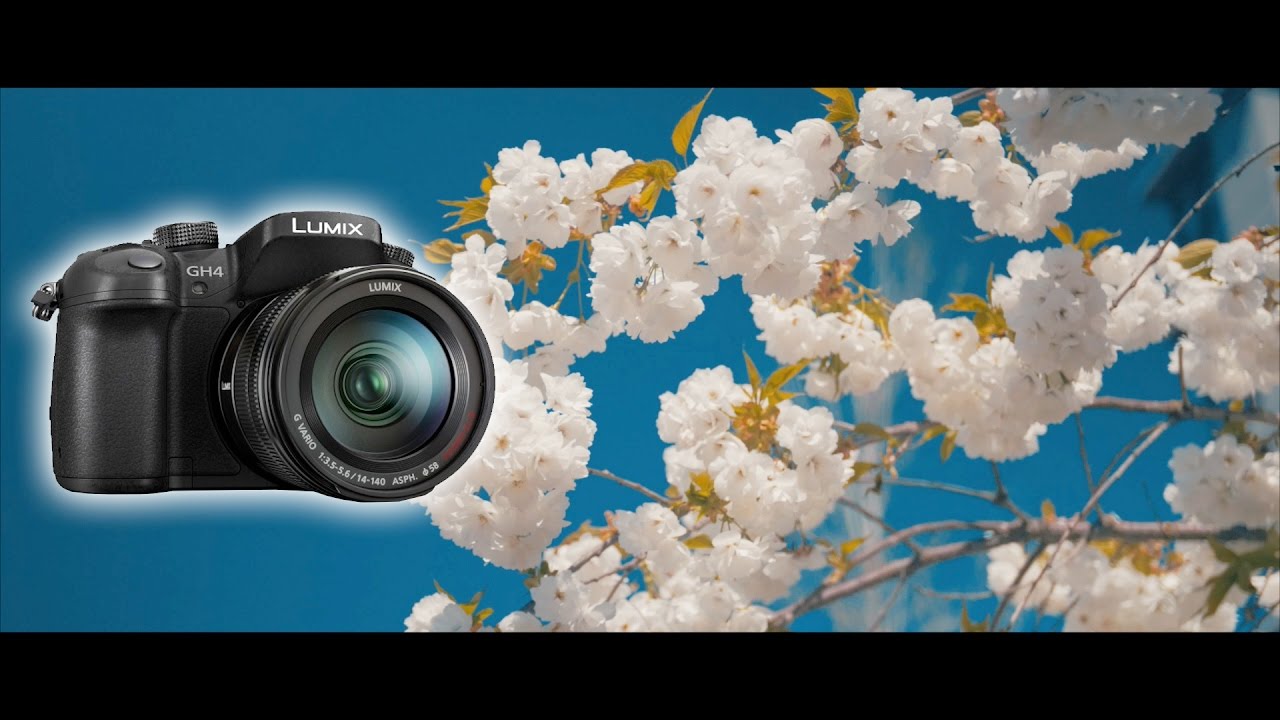 GH5 + Sigma 18-35mm + DEC Lensregain