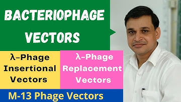What are bacteriophage vectors | Lambda insertional and replacement vectors | M13 phage vectors