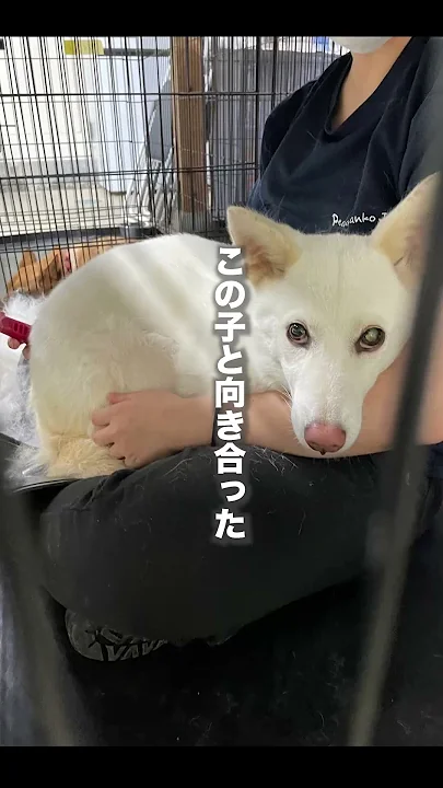 もう虐めないでね...?