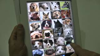 Dogs Soundboard App for Android - Free screenshot 4