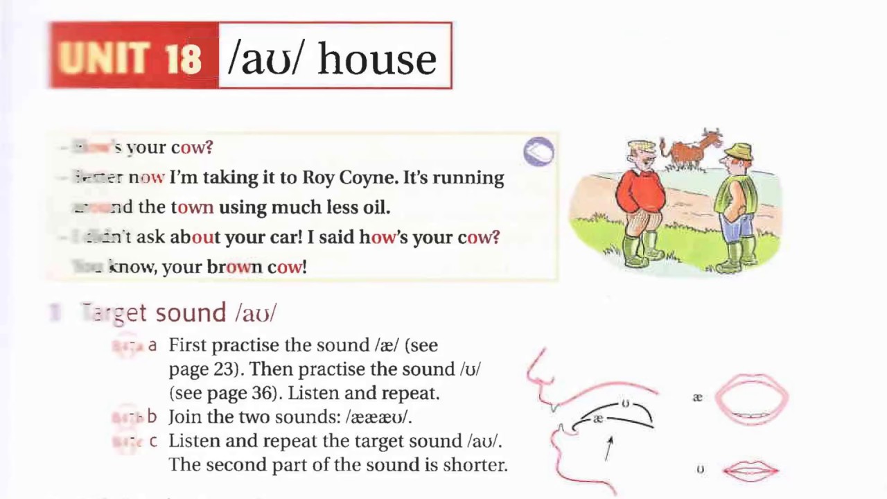 Ship Or Sheep Unit 18 Listening English Luyện Nghe Tiếng Anh