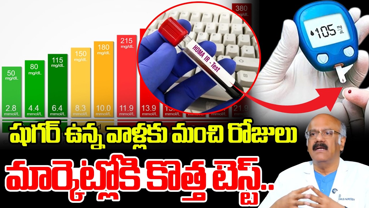 షుగర్ ఉన్న వాళ్లకు మంచి రోజులు మార్కెట్లోకి కొత్త టెస్ట్.. | HOMA-IR Test | Dr. Nageshwar Reddy
