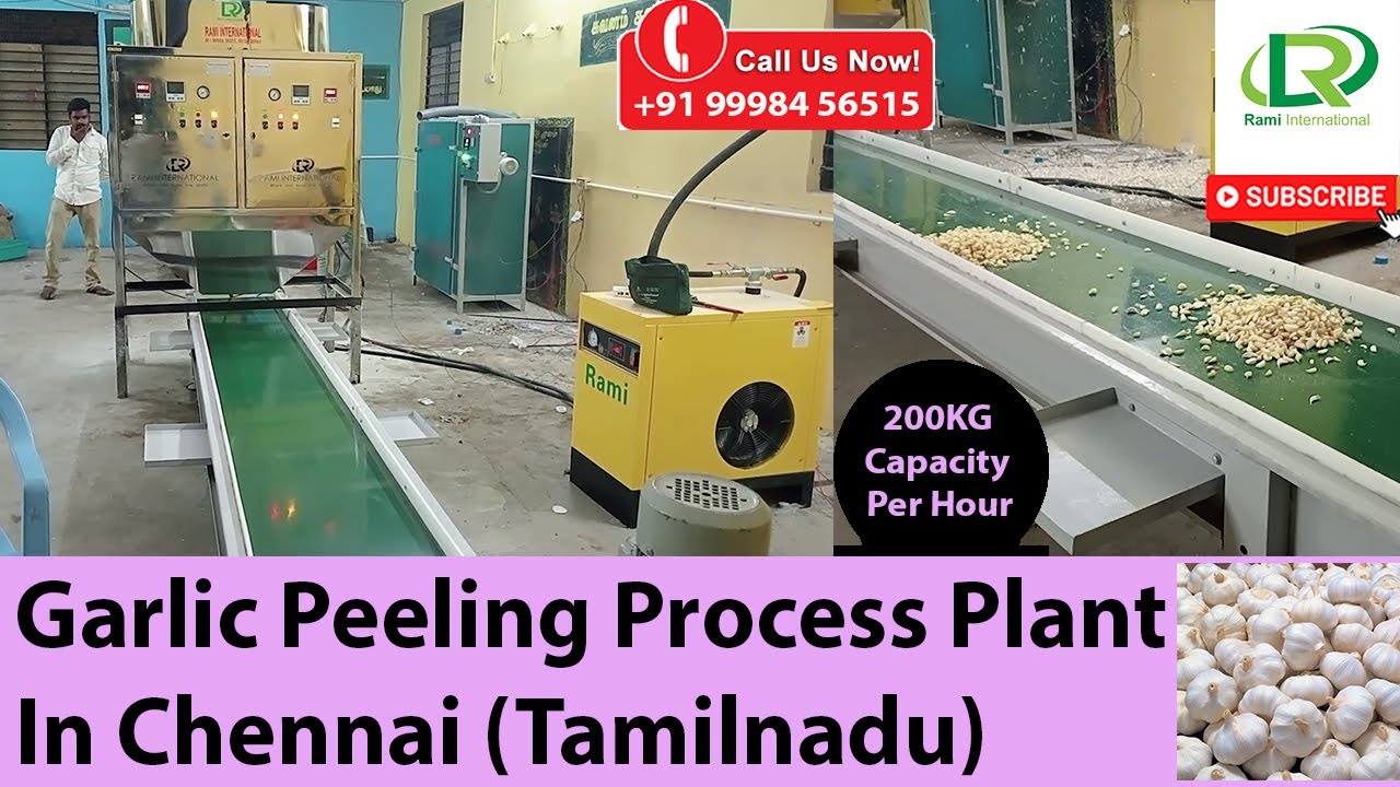 Garlic Peeling Machine 200KG Capacity Setup In Chennai Tamilnadu | Garlic Peeler Machine 200KG/Hour