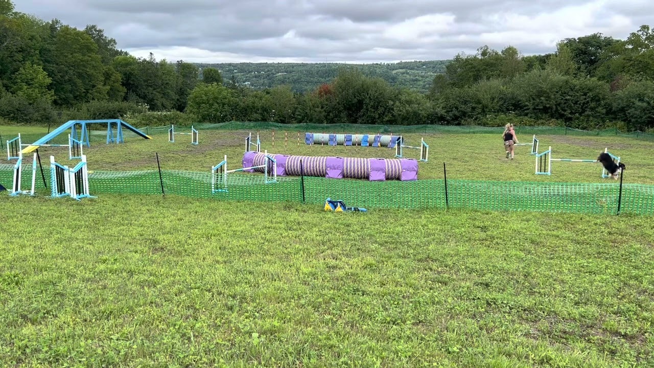 Drill 12.1 Weave Extreme Tests Level 1 #1: session 1