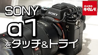 【話題のミラーレス】SONYのフラッグシップ機・ソニー α1を先行体験！シャッター音やAF性能、静止画や動画の実写も撮ってきました（カメラのキタムラ動画）