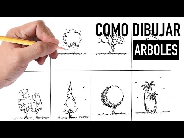 Como dibujar ARBOLES a MANO ALZADA - METODO FACIL - thptnganamst.edu.vn