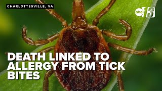 Researchers identify first death linked to meat allergy caused by ticks