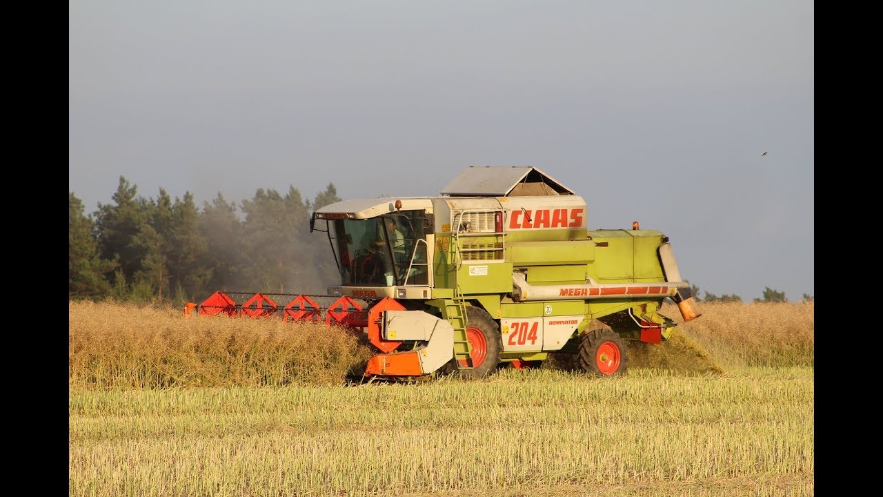 # Żniwa 2018# Rzepak# Claas 204# Harvest in Poland#