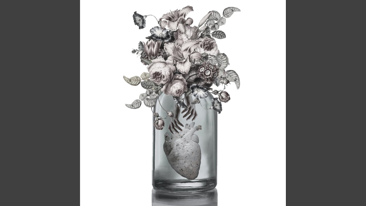 Παρακολούθηση Insomnia στο YouTube Παρακολούθηση Insomnia στο YouTube