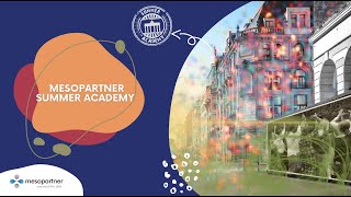 Mesopartner Summer Academy Presentation