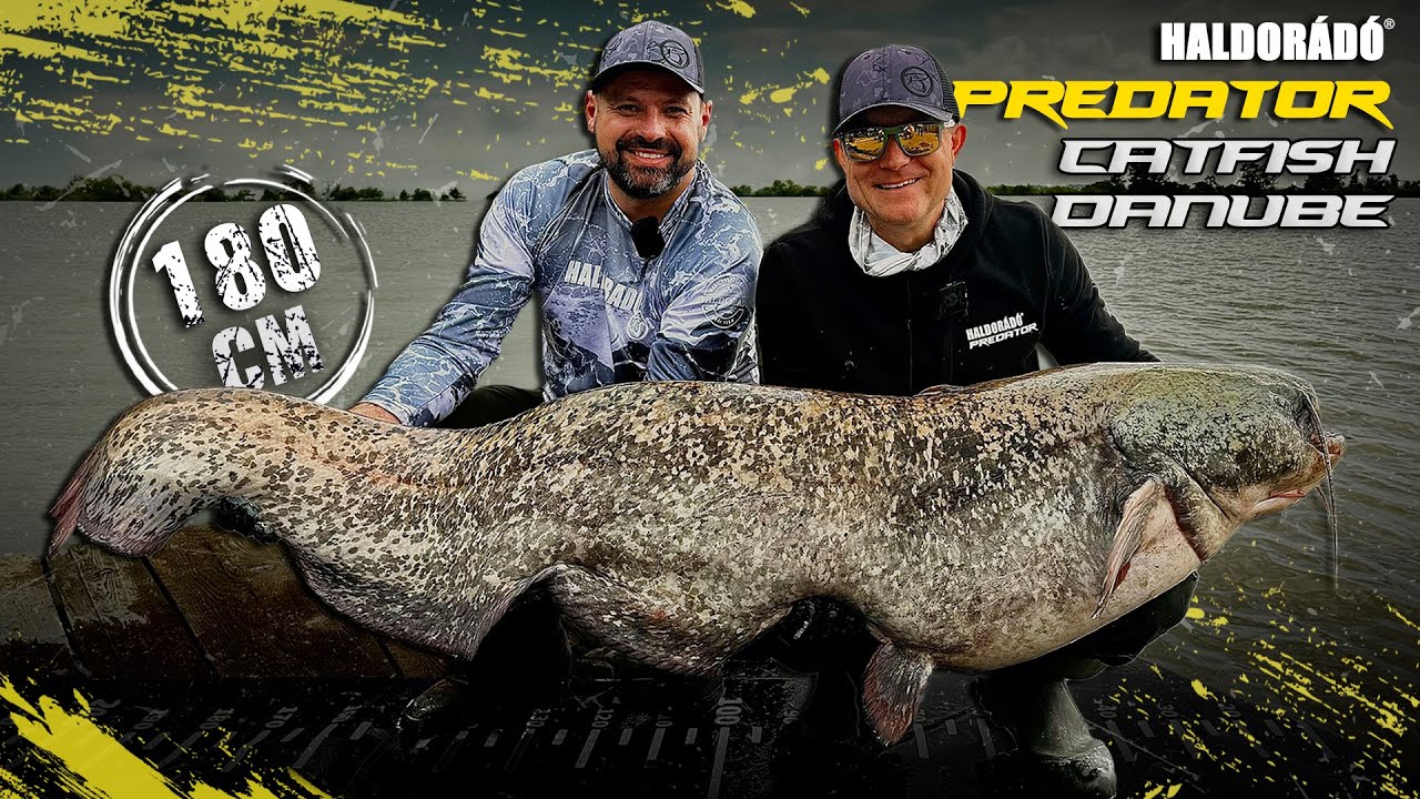 Döme Gábor - LEGENDÁS HARCSÁS VIZEKEN 3. rész – Harcsahorgászat az áradó Dunán, Szlovákiában