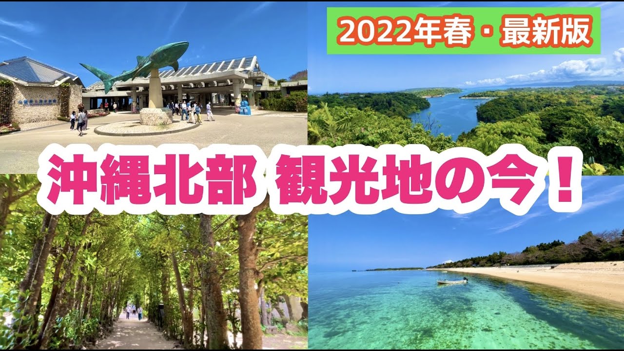 22年春の最新版 沖縄北部観光地の状況をレポート 沖縄旅行情報 Youtube