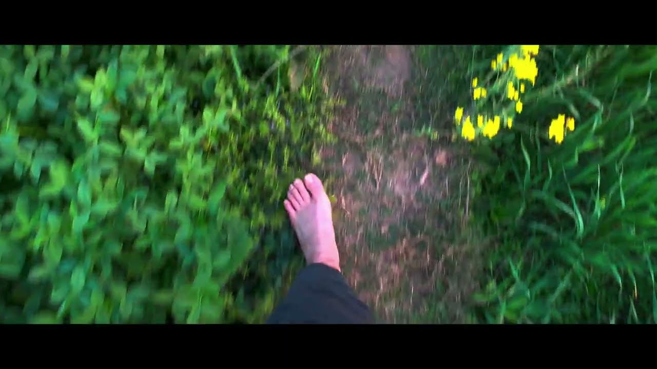 Stop living for others | It’s your life, your choices.| Ali Haider Khan Lodhi