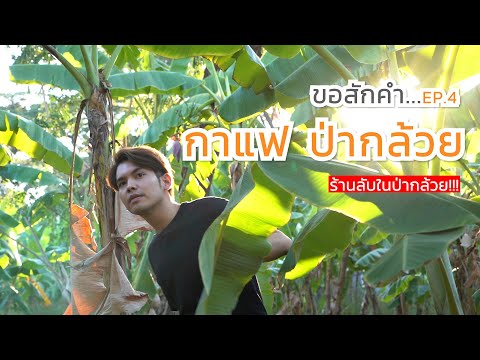 ร้านกาแฟลับๆ ย่านกรุงเทพกรีฑา “กาแฟ ป่ากล้วย” | ขอสักคำ  EP.4