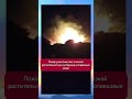 🇬🇷 Лесной ад в Греции 🚨 Что происходит в Аттике? 🔥 Огонь среди оливковых рощ 🫒 Сильный ветер 💨