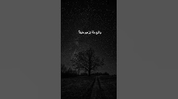 دقيقة من القرآن الكريم بصوت الشيخ ماهر المعيقلي سورة النساء #قرآن #religion #قرآن_كريم #قران