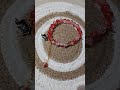 Red crackle beads bracelet with charms