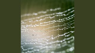 Calming Distant Heavy Rain (Loopable Version)