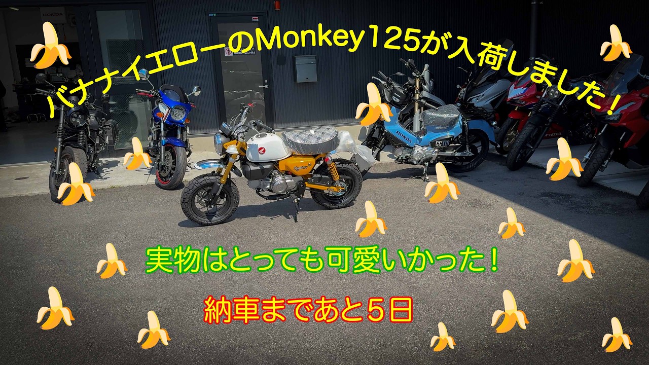 A banana yellow 🍌 Monkey125 has arrived! It's even cuter in