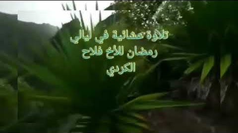 سورة القارعة للأخ فلاح الكردي أبو عمر وفقه الله