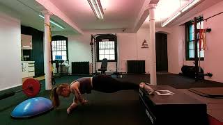 Elevated Side Plank Rotations