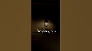 #خالد_الجليل #سورة_غافر #القرآن_الكريم اكتب_شيء_تؤجر_عليه