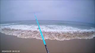260811 FishingDaMoss